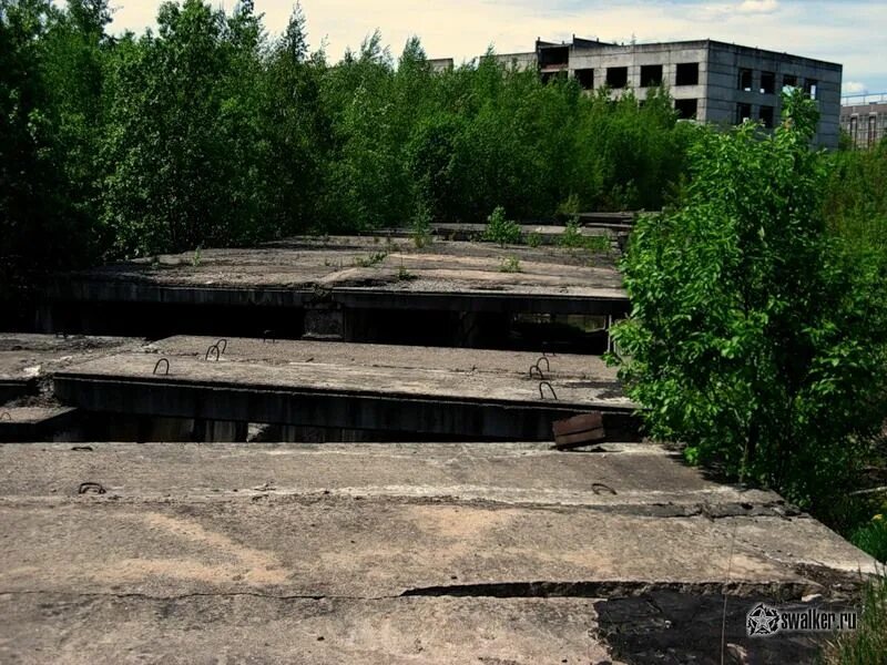 Заброшенный завод зеленоград. Циэ зеленоград. Развалины циэ. Развалины циэ зеленоград. Центр информатики и электроники, проект циэ, зеленоград.