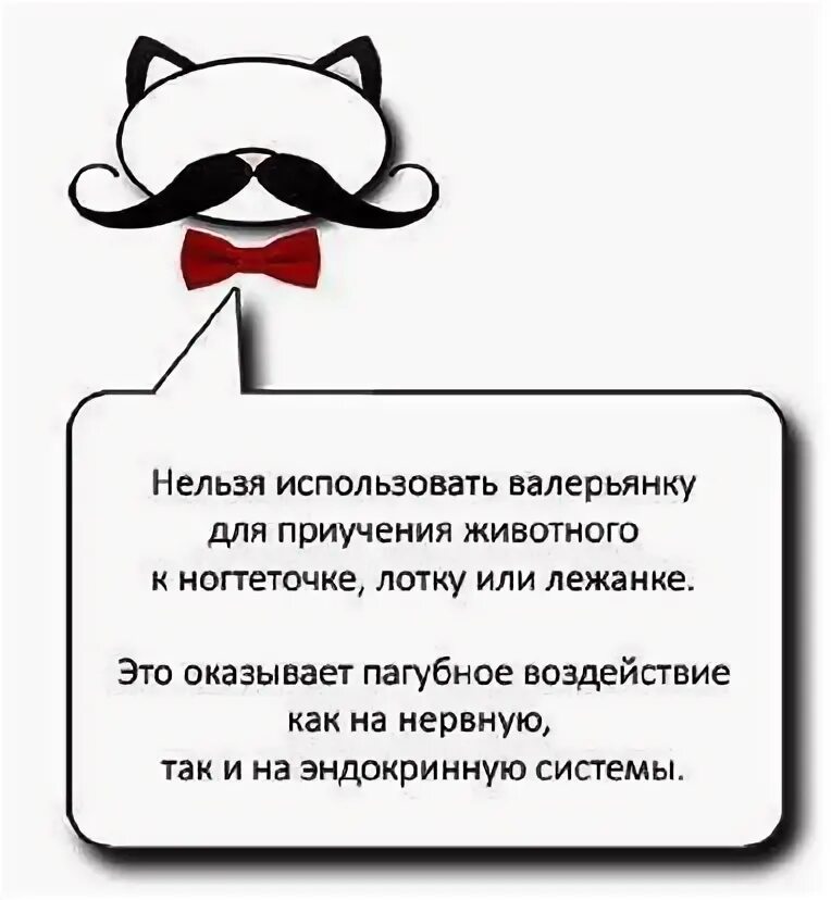 Почему нельзя пить валерьянку. Как пить валерьянку в таблетках. Почему нельзя пить валерьянку. Успокоительное валерьянка. Настойка валерианы в таблетках.