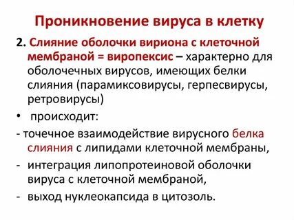 Какие вирусы проникают в клетку