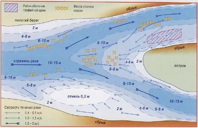 Опасные места на замерзшем водоеме. Перемешивание воды в озерах. Место обитания судака зимой. Река устье исток русло. Выбор места для рыбалки на реке.