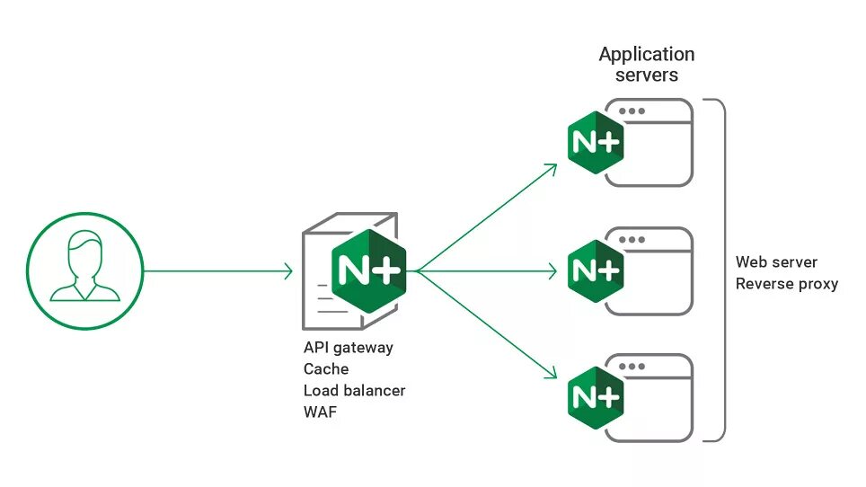 Веб сервер nginx. Nginx логотип. Обратный прокси сервер. Безопасность веб сервера nginx.