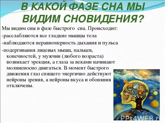 В какую фазу человек видит сны?. В какой фазе сна мы видим сновидения. На какой стадии сна мы видим сны. D rfre, afpe CYF vs dblbv cyjdtltybz. Каждому человеку снятся сны