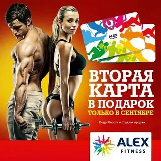Алекс реклама