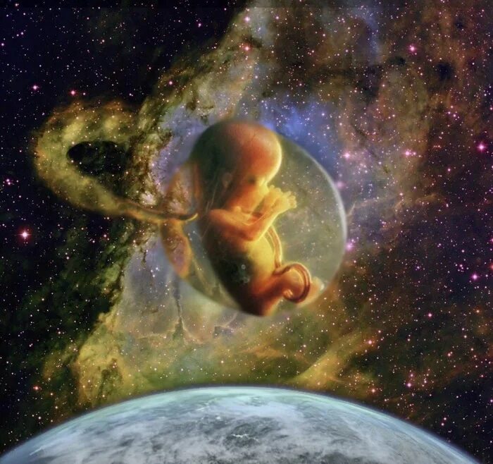Рождение земной жизни. Вселенная для детей. Дитя космоса. Рождение новой планеты. Рождение земли.