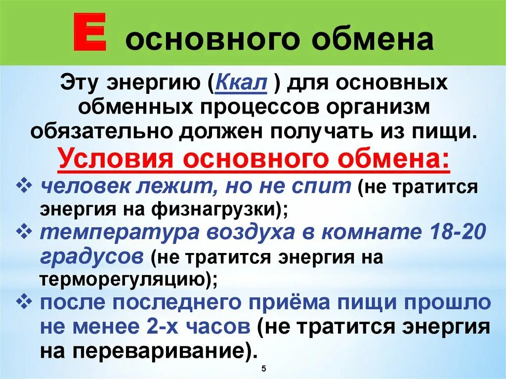 Что такое основной обмен почему. Основной обмен веществ. Основной обмен. Основной и общий обмен веществ. Базовый обмен веществ.