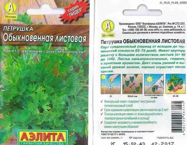 Петрушка аэлита. Сорт петрушки крупнолистовой. Петрушка сорта лучшие для открытого грунта. Петрушка ажур (листовая). Семена петрушка риалто.