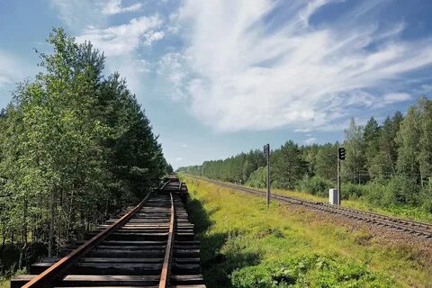 Погода луга ленинградская область на 3 дня