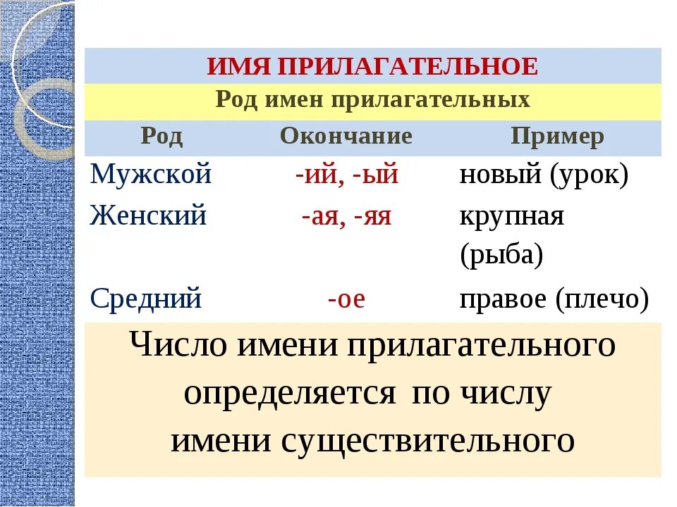 Метро какое прилагательное можно. Как определить род имен прилагательных. Как определить род имя прилагательное. Как понять род прилагательного. Как определить прилагательные.