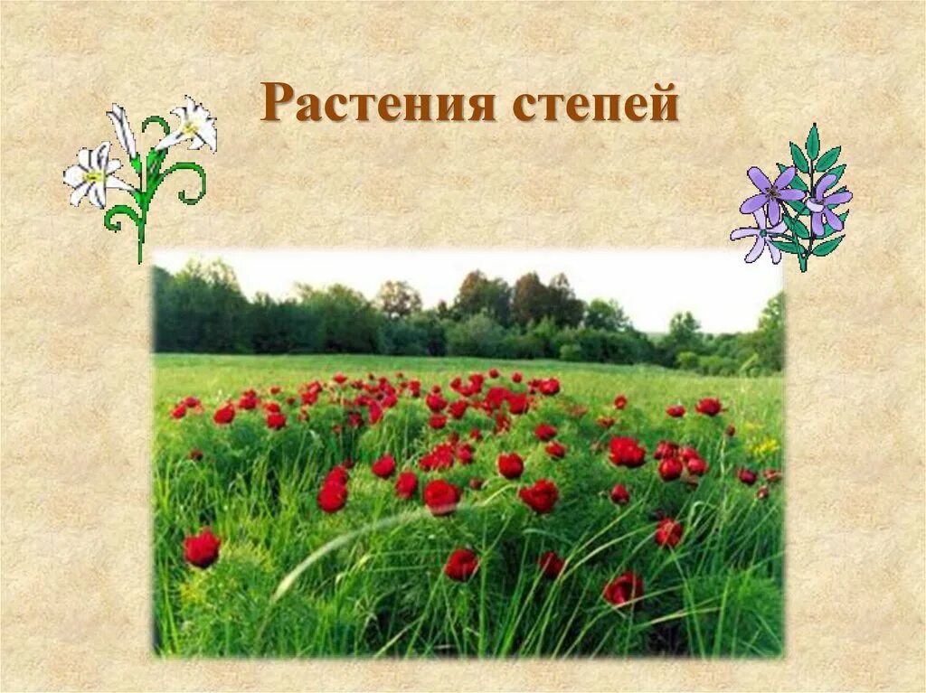 Изображение не требует описания