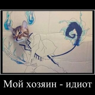 Просыпайся мой хозяин mp3