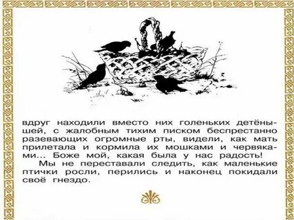 Гнездо главная мысль