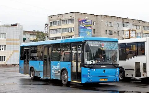 Автобус 96 спб