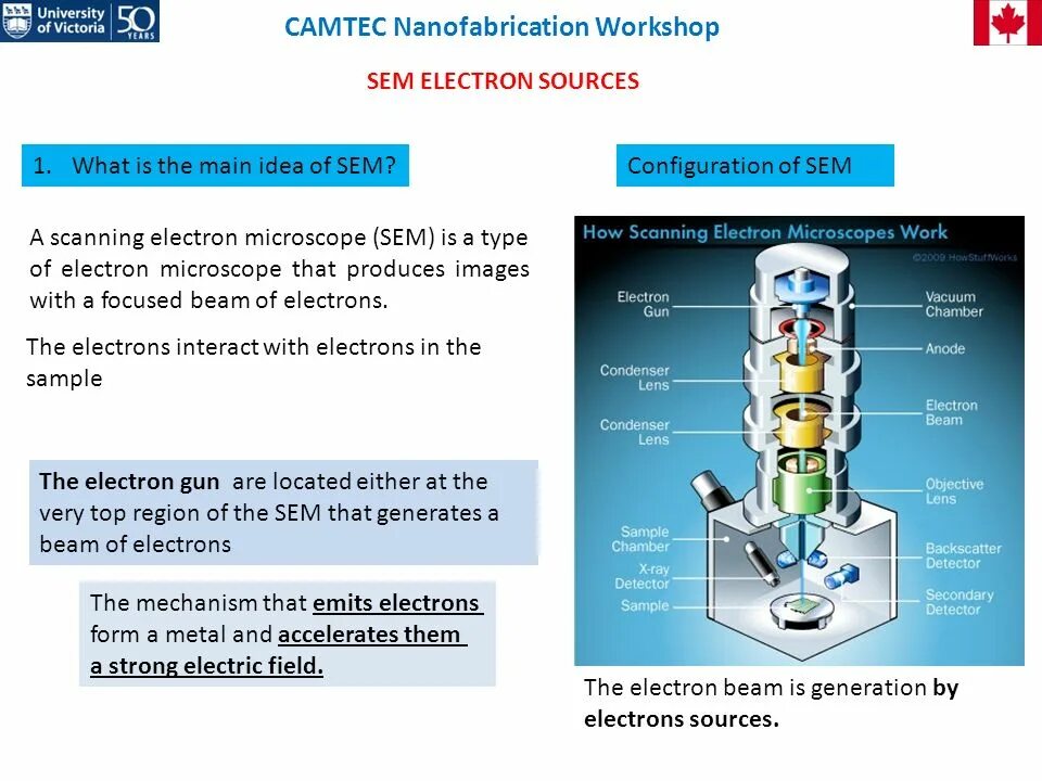 Electron work. Scanning electron microscope ppt. scanning electron microscope scheme. scanning electron microscopy principle. &quot;multi-detector&quot; scanning electron microscopy.
