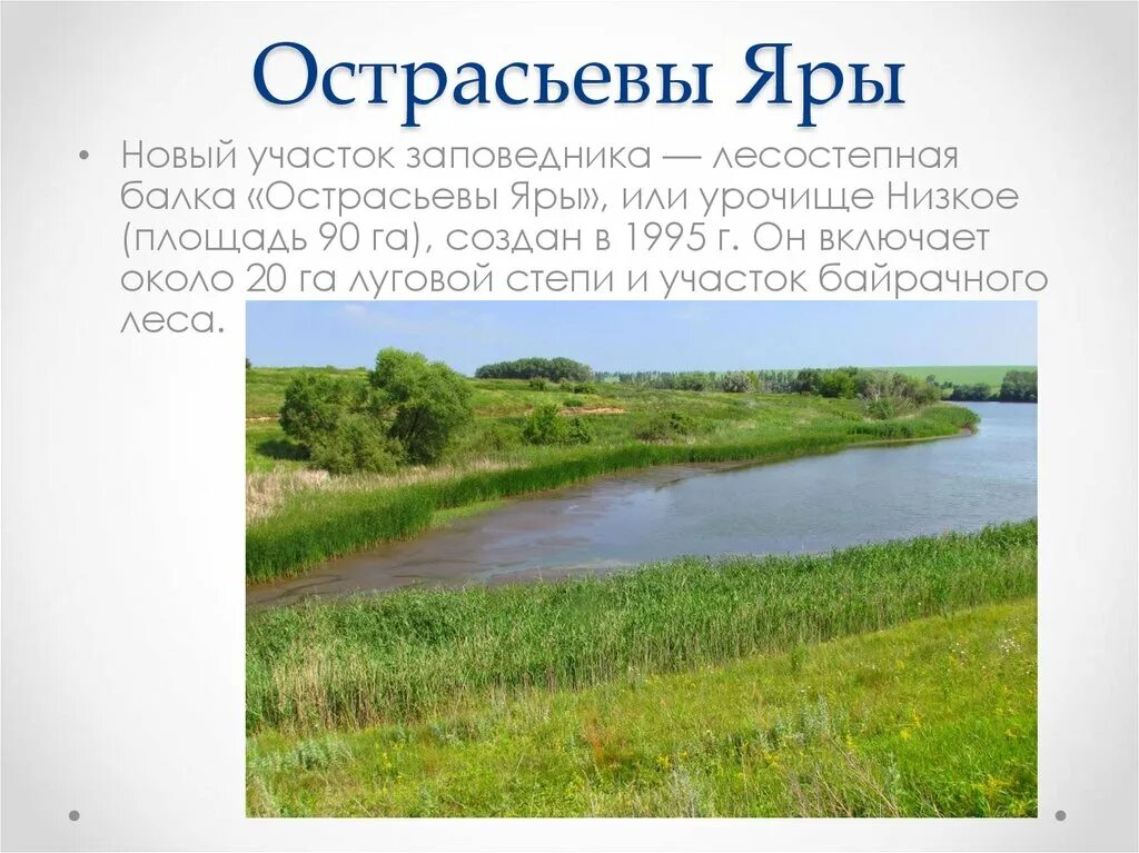 Заповедник Острасьевы Яры Белгородской области. Заповедник Белогорье Острасьевы Яры. Белгород заповедник Острасьевы Яры. Заповедник Белогорье Борисовка. Вода в белгородской области