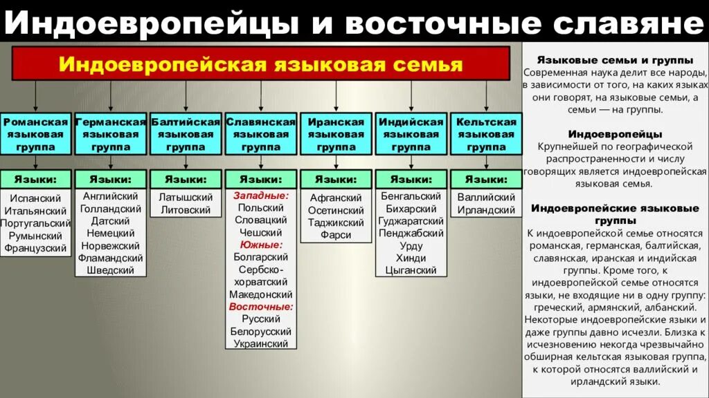 Группы индоевропейской семьи. Группы индоевропейской семьи языков. Языковые семьи индоевропейская семья. Индоевропейская языковая семья Славянская группа. К славянской группе индоевропейской семьи относятся