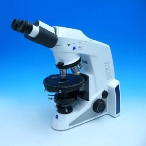 Lab a1. Микроскоп carl zeiss axio lab a1. микроскоп биологический axio lab a1. микроскоп adf x100. 1 мкм на микроскопе.