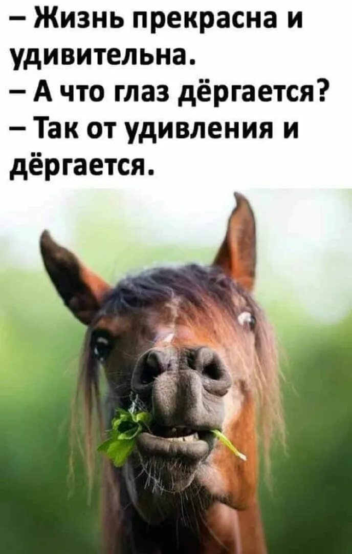 Прям удивила