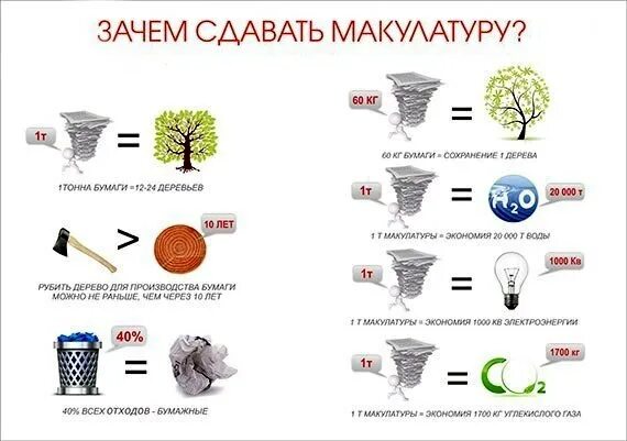 Почему нужно сдавать. Зачем сдавать макулатуру. макулатура инфографика. зачем нужно сдавать макулатуру. сбор макулатуры инфографика.