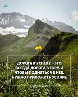 Приложим все усилия