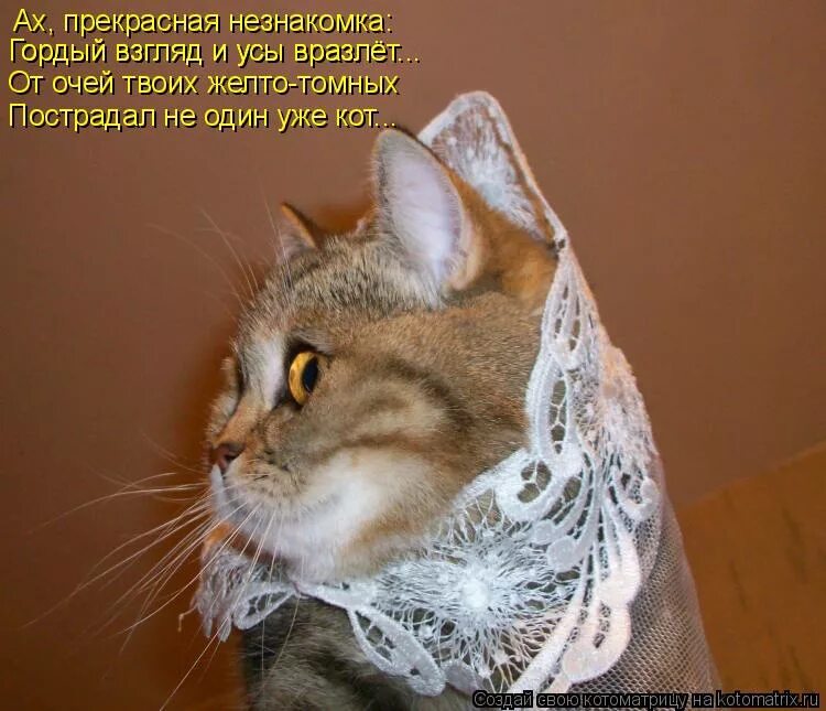 белый орёл потому что нельзя быть красивой такой. потому что нельзя быть красивым таким. исполнитель песни потому что нельзя быть красивой такой. потому что нельзя быть на свете красивой такой картинки. потому что нельзя.