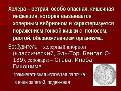 Особо опасные инфекции холера и чума