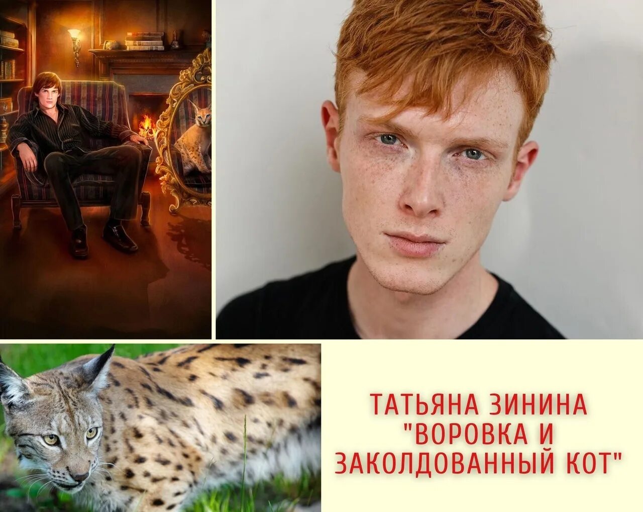 Кип кот. Кип заколдованный кот.