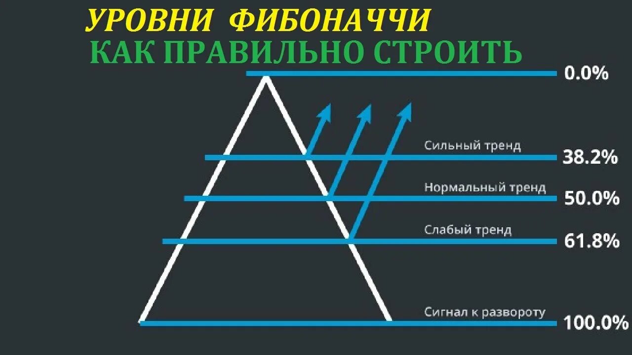 На следующий уровень а также. Сетка Фибоначчи. Уровни Фибоначчи. Уровни коррекции Фибоначчи в трейдинге. Уровни Фибоначчи форекс.