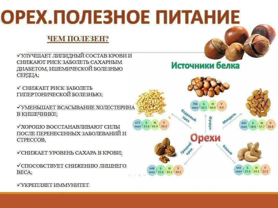 Польза орехов. Чем полезны орехи. Полезные орехи для организма. Орехи для диабетиков. Какие орехи для печени