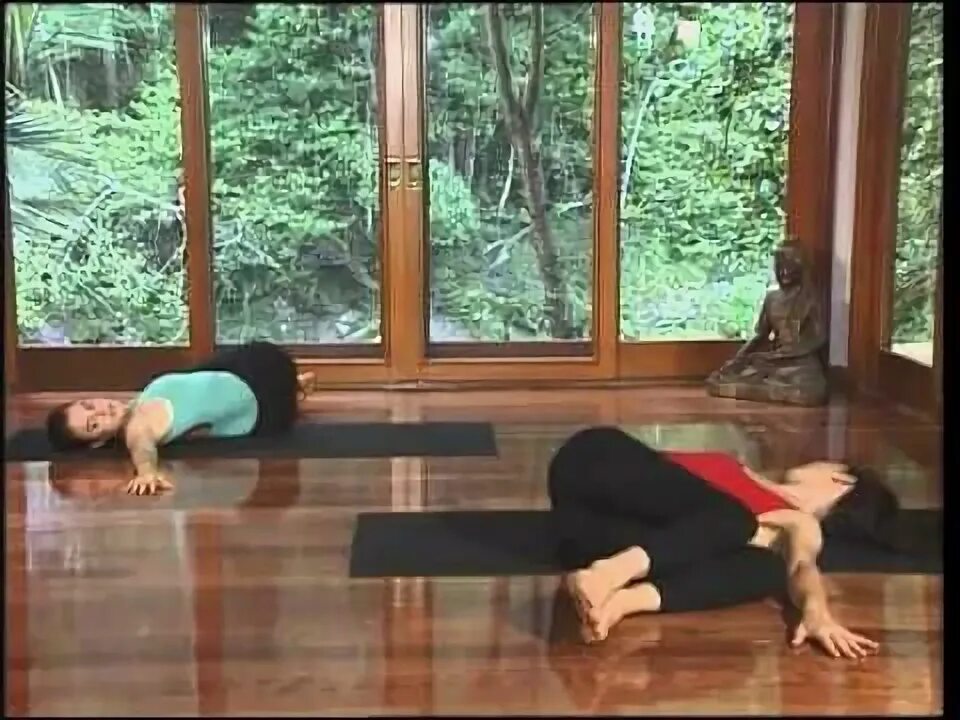 Йога с луизой сиар и рейчел зинман. Зинман йога. Зинман йога. Зинман йога. Зинман йога.