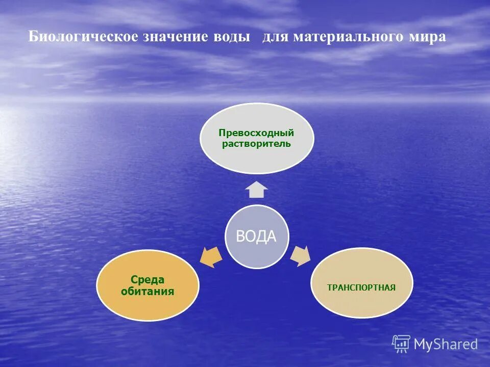 Водные богатства в жизни человека. Значение воды в природе и жизни человека. значение воды. значение воды в природе. значение воды схема.