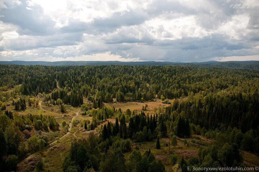 Поселение кузбасса. Центральный поселок кузбасс. тайге. таежное поселение как называется.