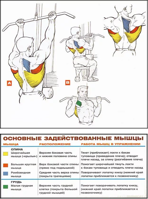 Упражнения на низ спины