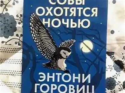Совы охотятся ночью книга