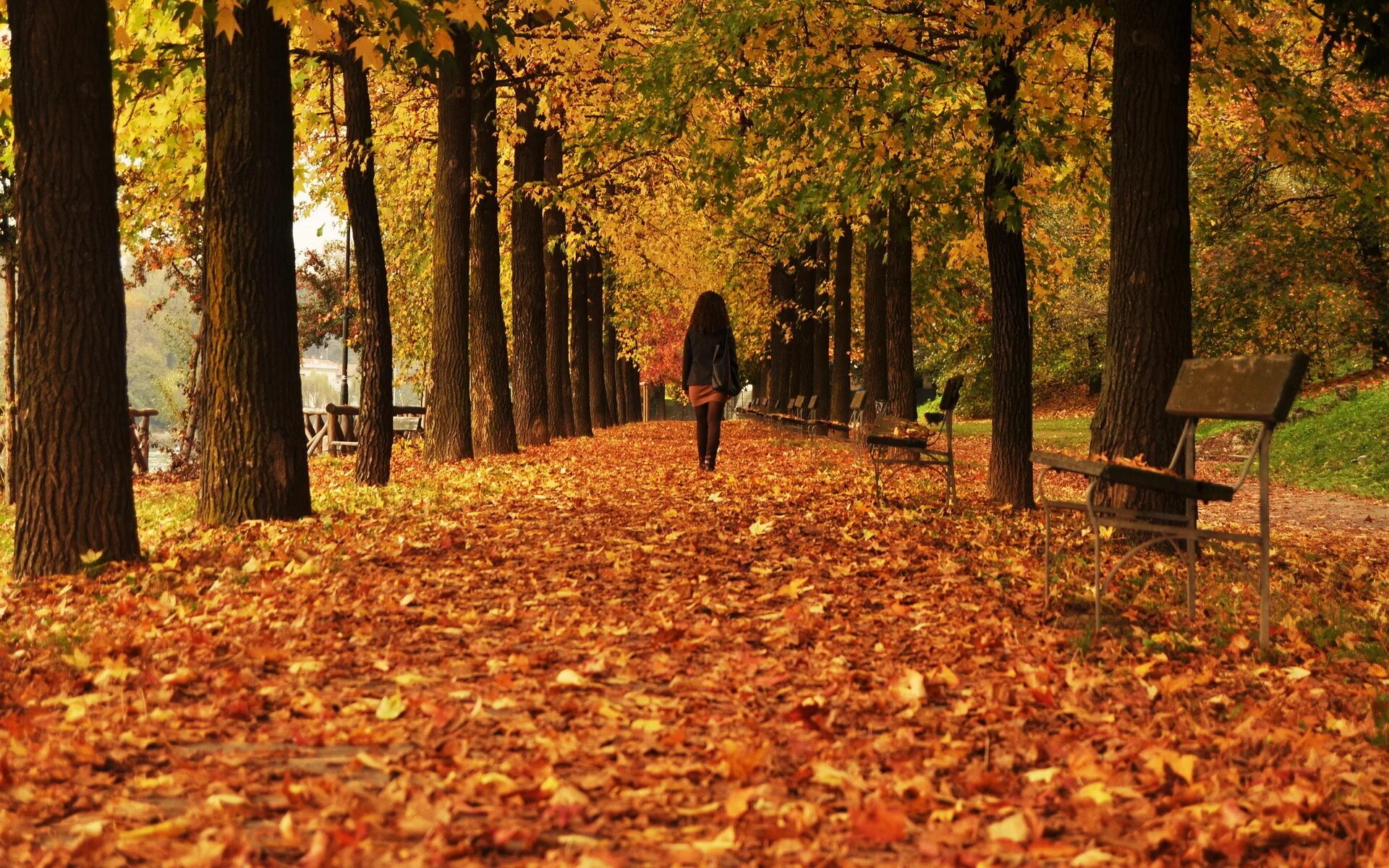 Осень без людей. Осенний парк. Осень в парке. Прогулка в осеннем парке. Осень в городском парке.
