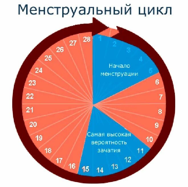 Дни низкой вероятности забеременеть