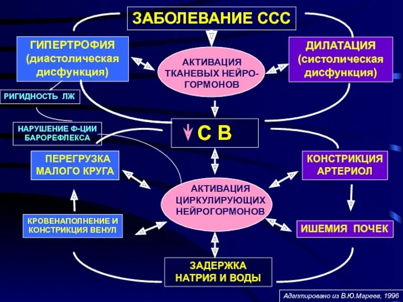 Дисфункция гормонов. Хронические заболевания ССС. Кластер заболевания сердечно сосудистой системы. Интеллект карта заболеваний сердечно-сосудистой системы. Интеллект карта сердечно сосудистые заболевания.