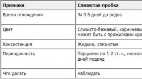 Пробка при листопаде