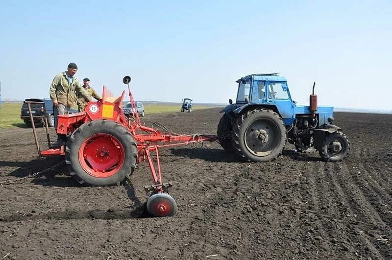 Трактора МТЗ 1221 на посевной. МТЗ 82 Беларус зерносеялкой поле. Сеялка для свеклы на трактор МТЗ 82. Посев трактором. Доски пилят пилой зерно сеют сеялкой