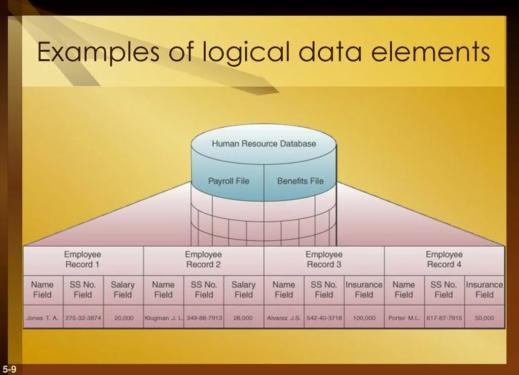 Element meaning. Data elements. Data elements meaning.