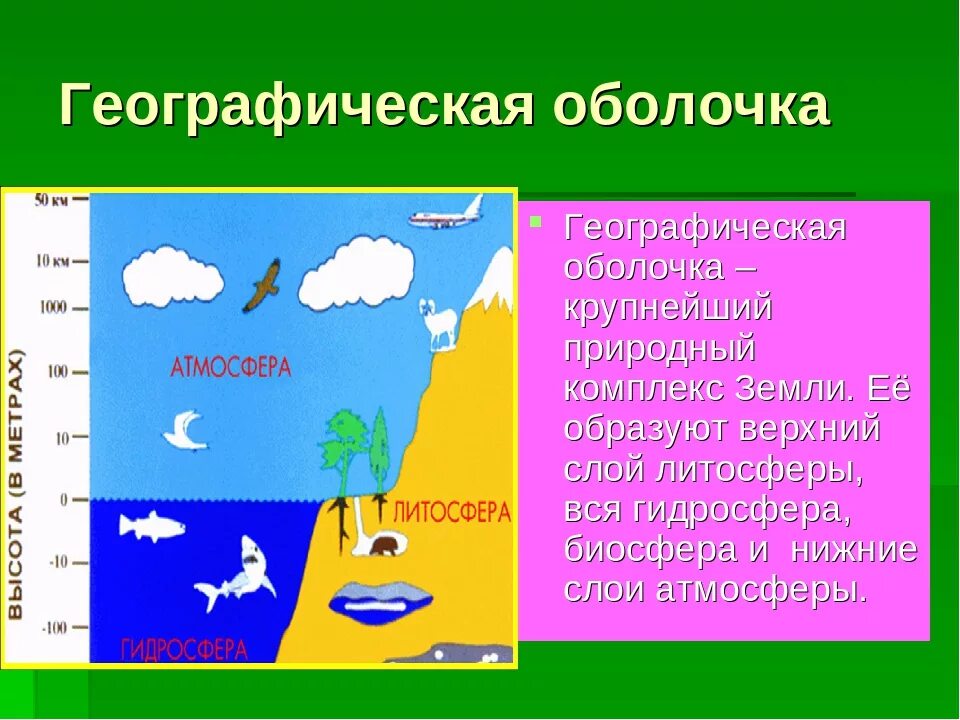 Географическая оболочка. Понятие о географической оболочке. Географическая оболочка определение.