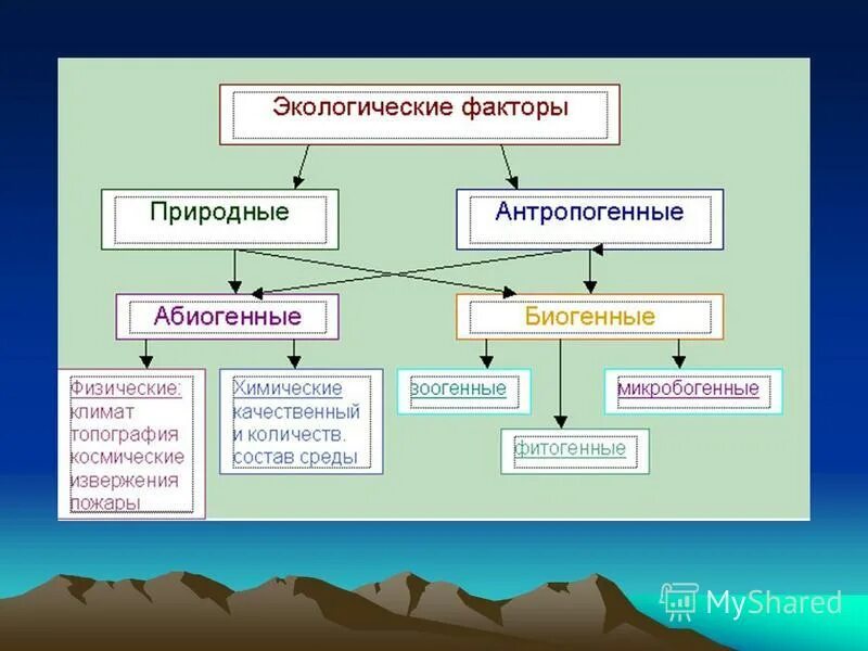 Экологические факторы 9 класс биология тест. Экологические факторы. Экологические факторы среды. Природные экологические факторы. Схема экологические факторы.