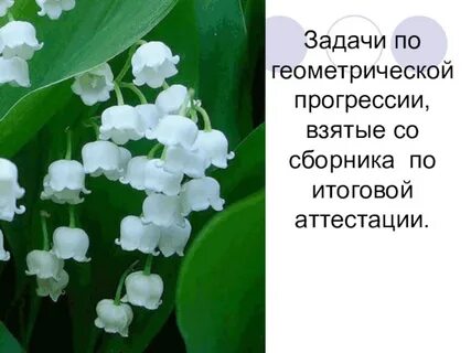 Дарите женщинам цветы ландыши текст