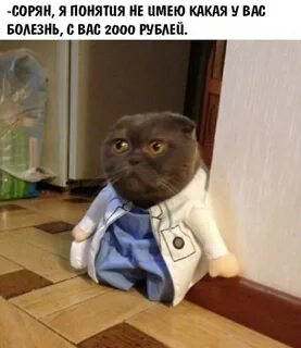 Босс пришел