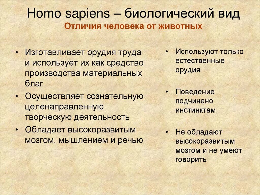 Тип и вид различия. Хомо сапиенс как биологический вид. Homo sapiens как биологический вид биология. Хомо сапиенс характеристика. Отличие человека от животных.