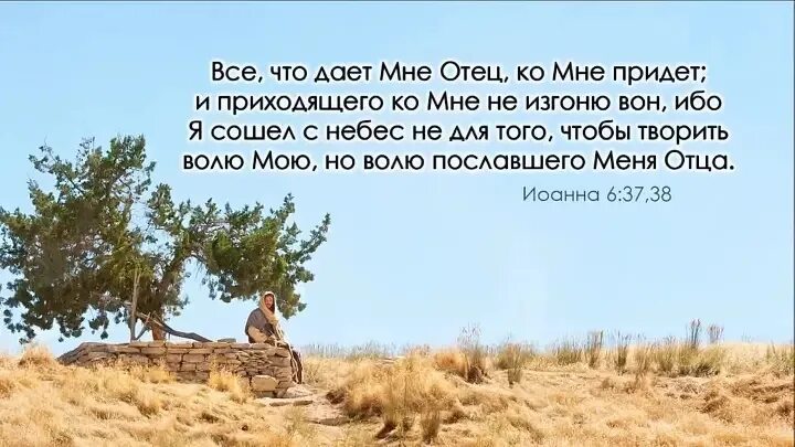 Не лучший сын грешников изгнанных