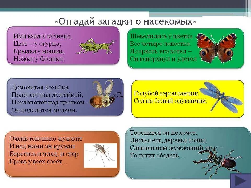 Загадки про насекомых для детей 5-6. Загадки про насекомых для детей 3-4. Загадки о насекомых для дошкольников 4-5. Загадки про насекомых для малышей. Текст про насекомых