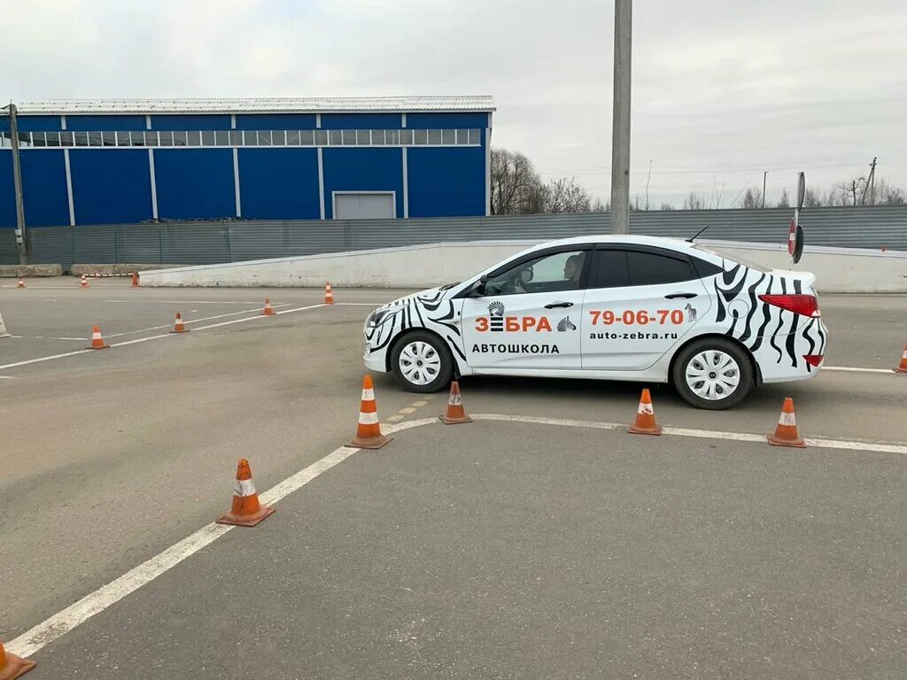 автошкола зебра тула. автошкола зебра спб. зебра автошкола барнаул. автошкола зебра ижевск. автошкола зебра тула.