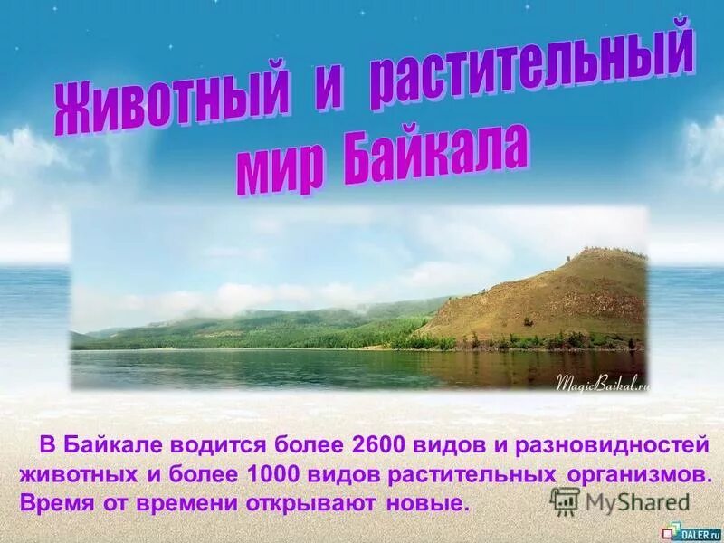 Озеро байкал 3 класс окружающий мир. Байкал презентация. Презентация на тему Байкал. Природа Байкала презентация. Тема Байкал.