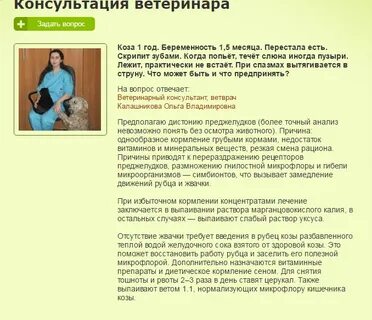 Форумы чтобы забеременеть