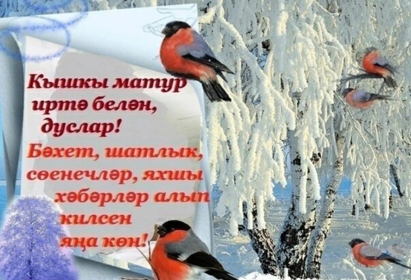 Доброе зимнее утро на татарском. С добрым зимним утром на татарском языке. Зимние пейзажи хэерле иртэ. Зимнее доброе утро на татарском языке.